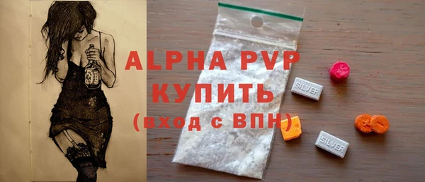 хмурый Алзамай