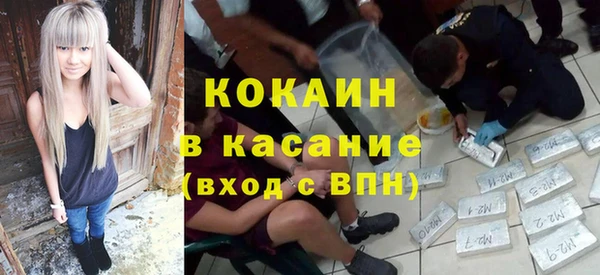 хмурый Алзамай